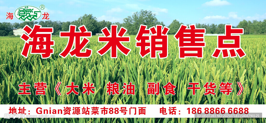 海龙米销售点