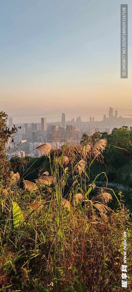 城市边缘的秋日植被景观
