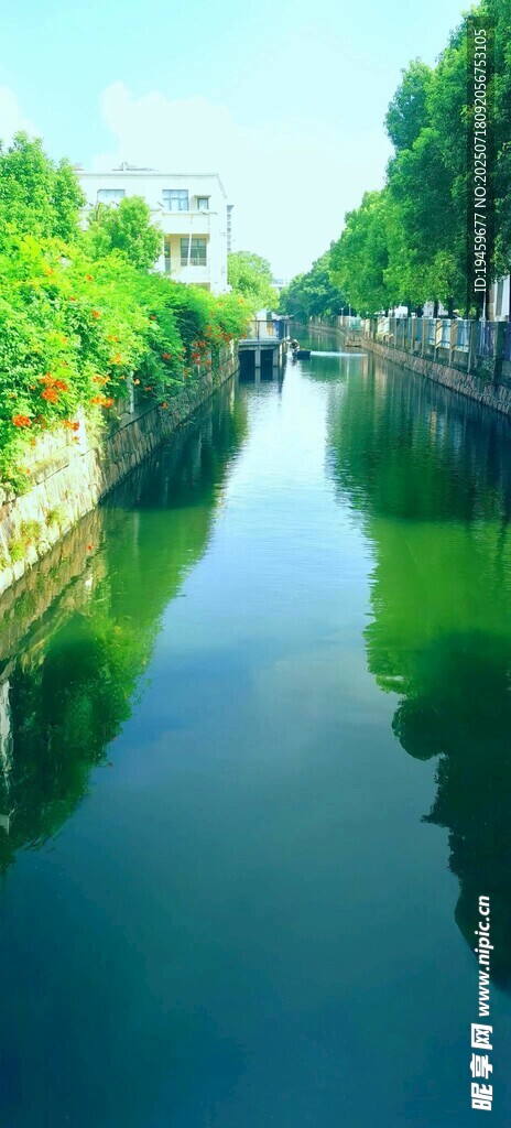 河畔绿树倒映的宁静水道