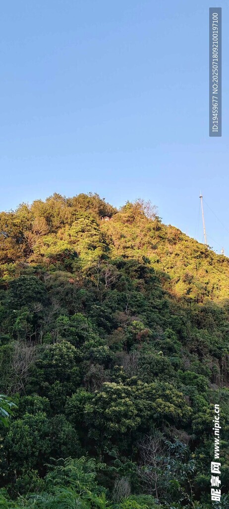 阳光照耀下的葱郁山峦