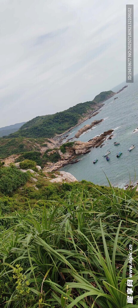 海边葱郁植被与礁石景观