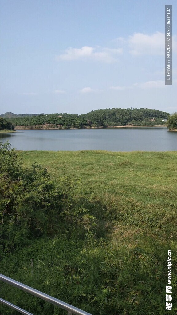 湖畔绿野风光