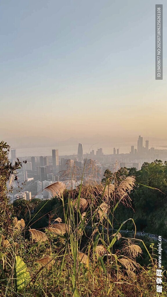 城市边缘的自然景致