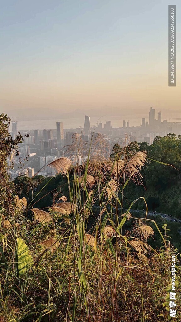 城市远景与山间植被景观