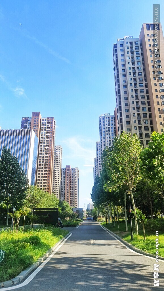 城市林荫大道旁的高楼