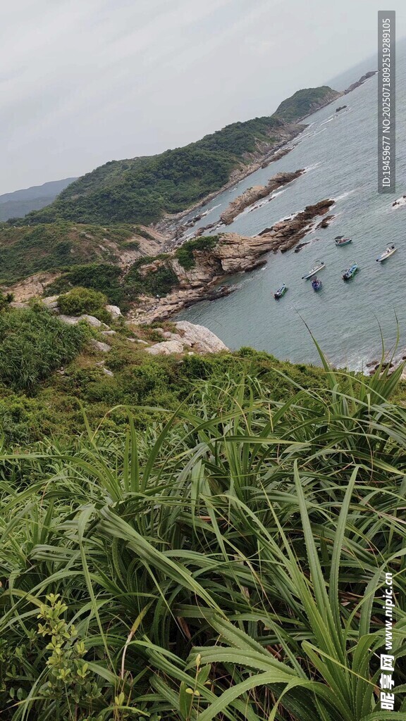 海边葱郁草地与远处海景