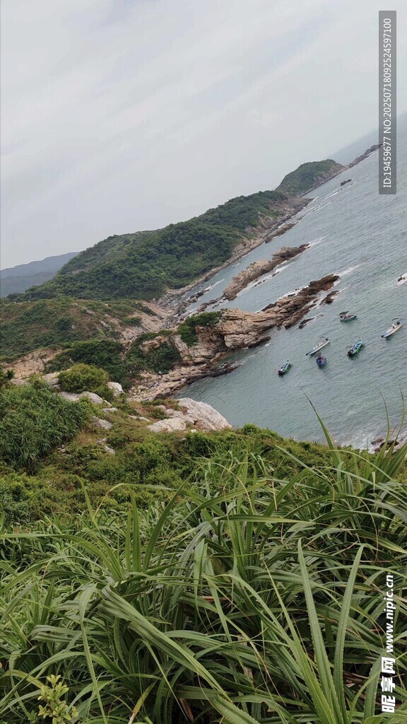 海边绿意盎然的美丽景致