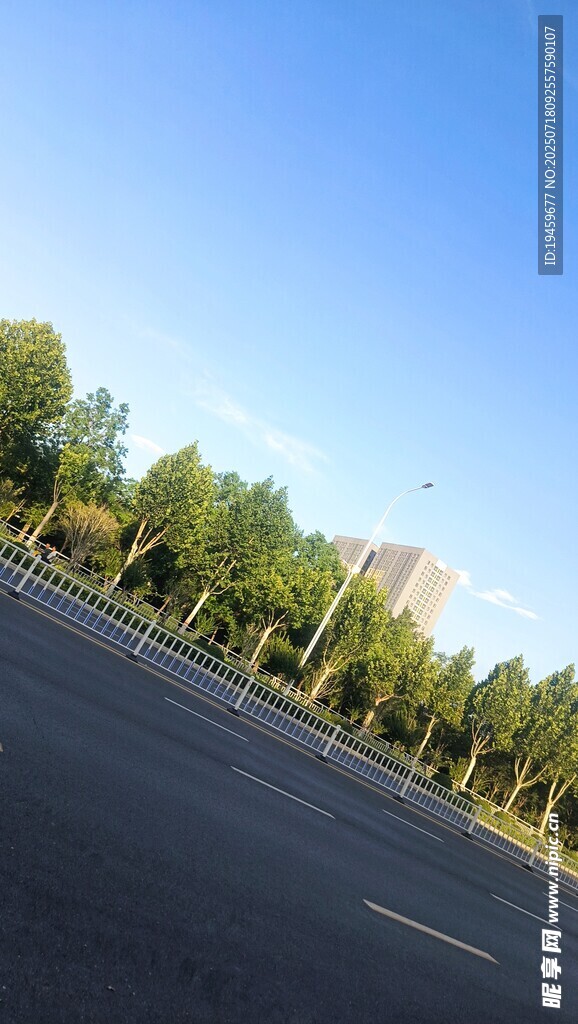 宽阔道路旁绿树蓝天