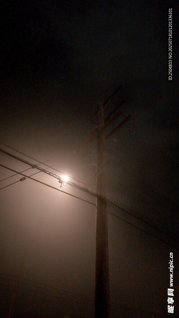 雾中夜灯 静谧电线杆景象