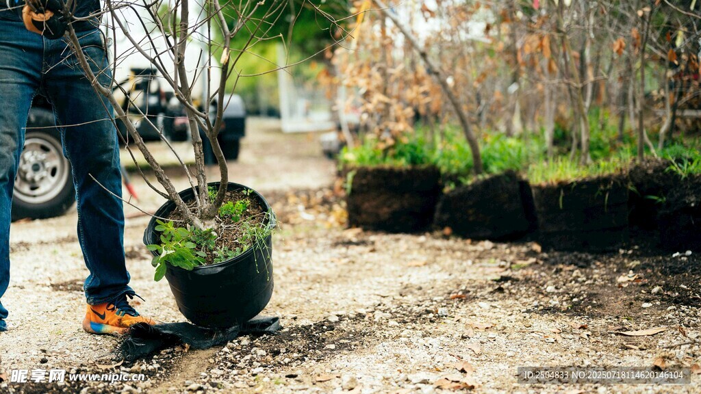 户外种植绿植的场景
