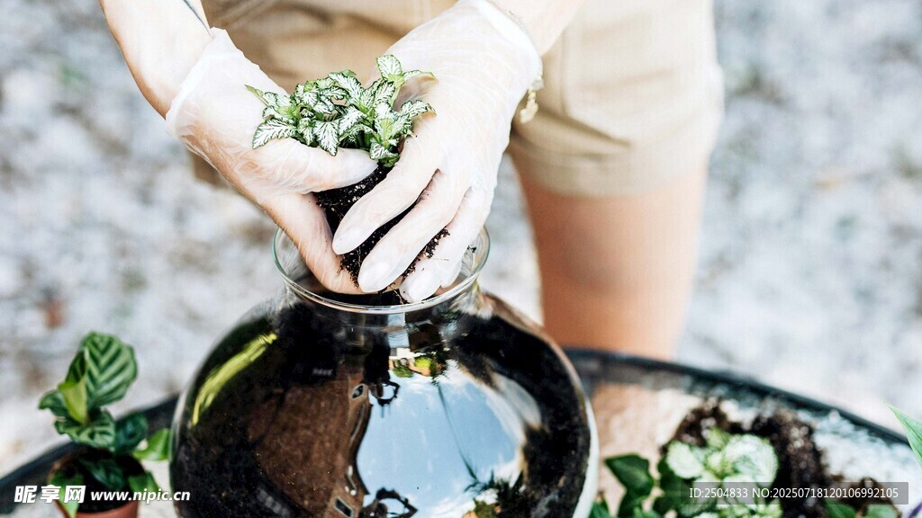 双手栽种绿植的温馨场景