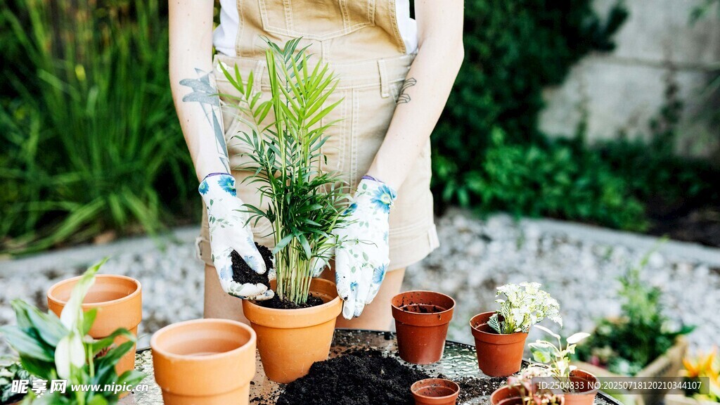 手工制作绿植盆栽场景