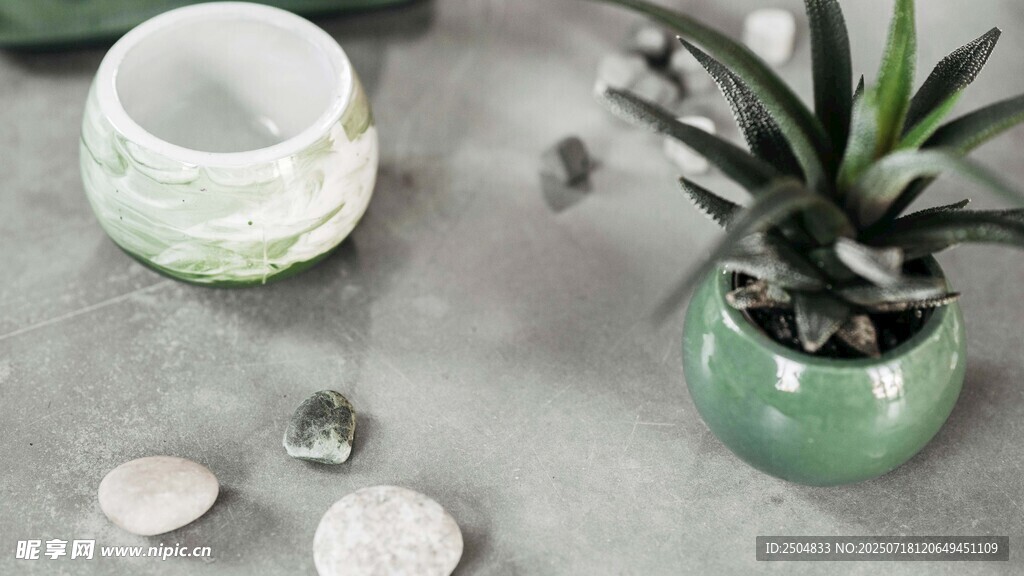 绿植陶瓷摆件 简约雅致