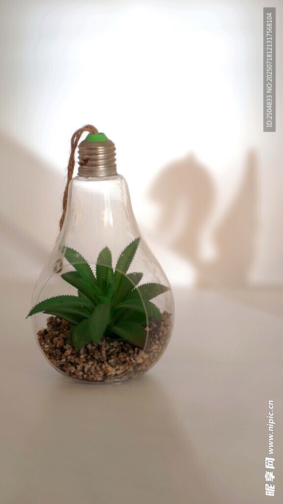 灯泡内的迷你绿植景观