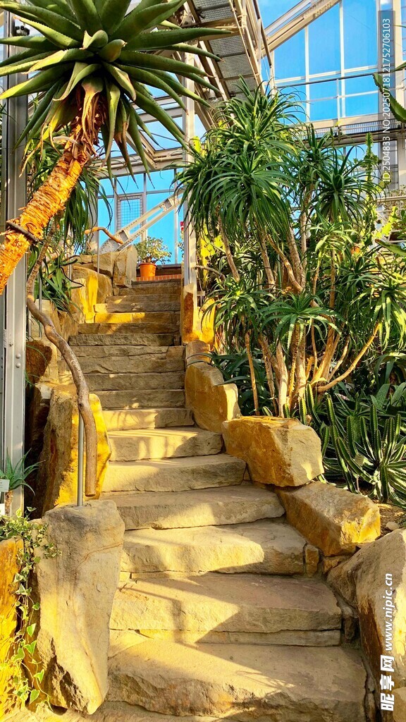 室内热带植物景观步道