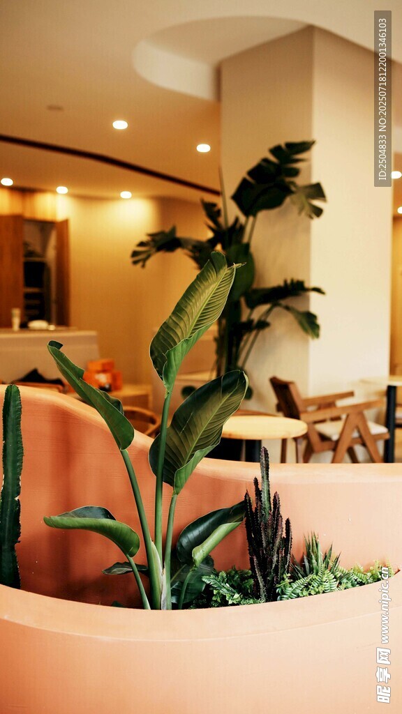 室内绿植装饰温馨角落