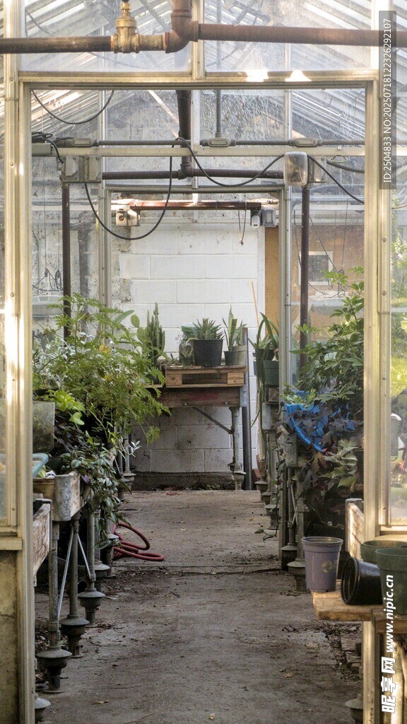 温室绿植景观