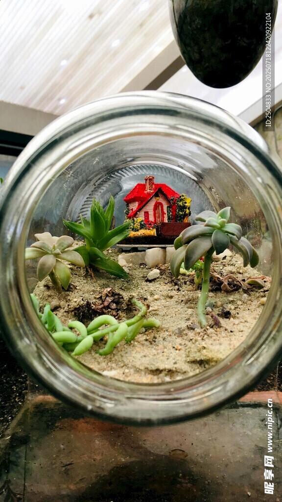 玻璃容器中的迷你植物景观