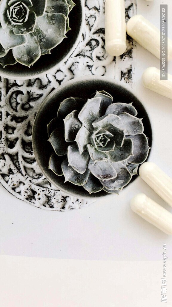 黑白花卉美甲艺术展示