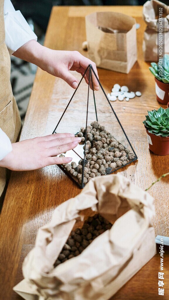 手工制作悬挂绿植小盆栽