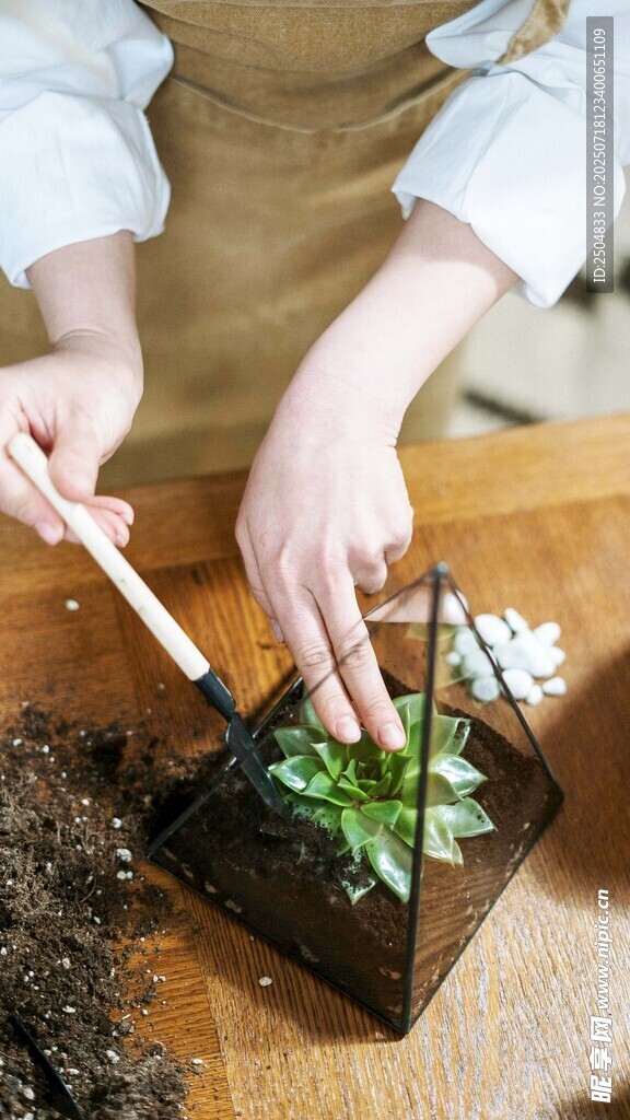 儿童亲手种植绿植瞬间