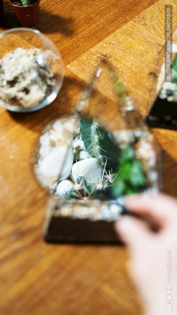 手作迷你景观模型