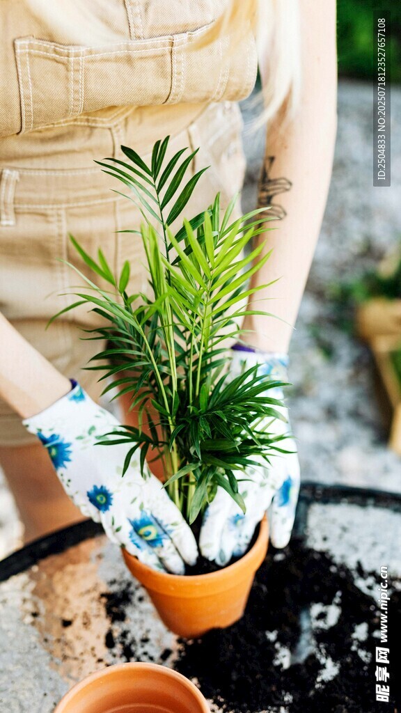 手植绿植 开启园艺小美好