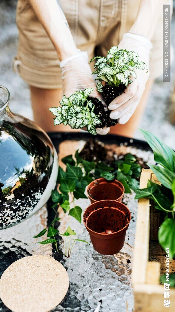 亲手栽种绿植的美好瞬间