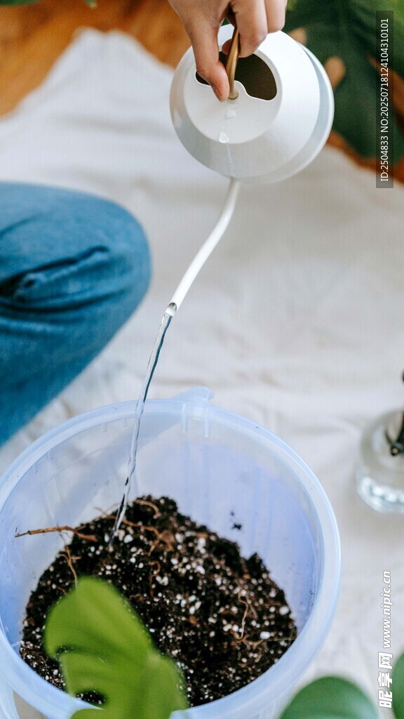 手冲茶叶入碗瞬间
