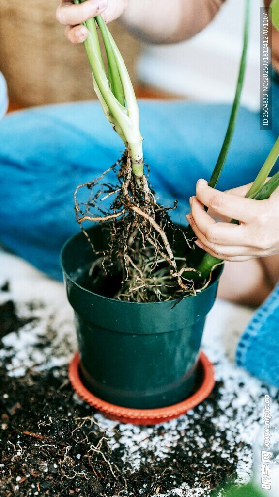 儿童栽种绿植瞬间