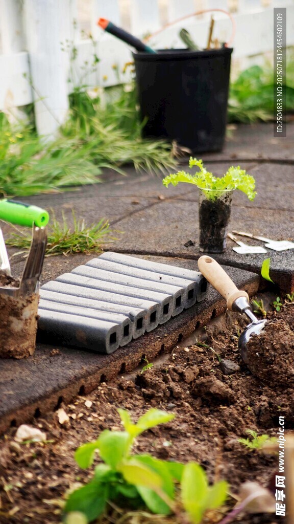 户外园艺工具与绿植场景