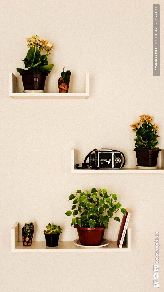 简约墙面绿植装饰小景