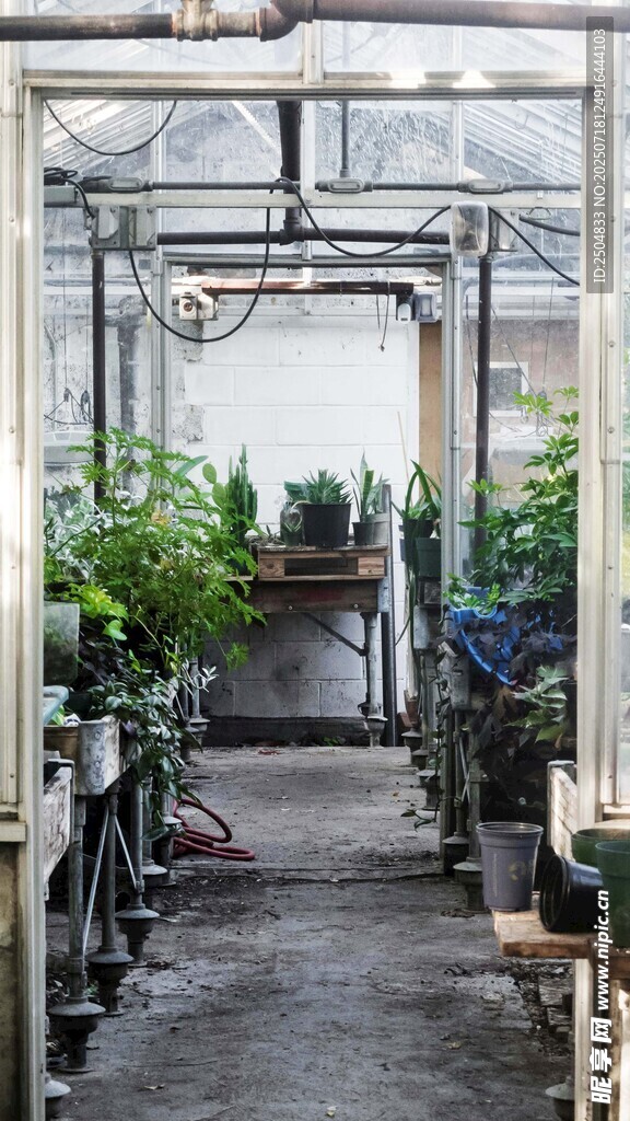 温室绿植景观
