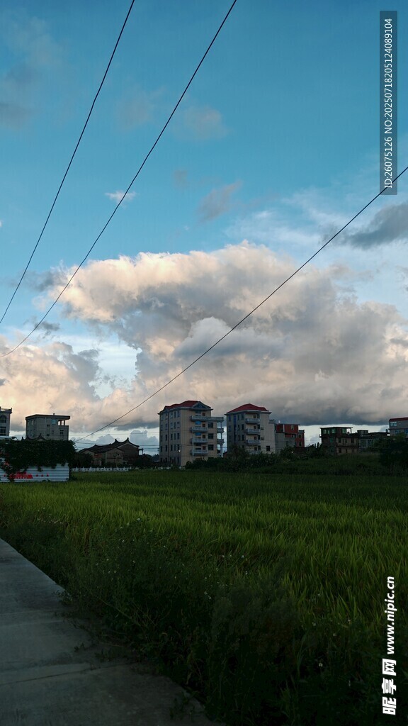 乡村田野边的宁静景致