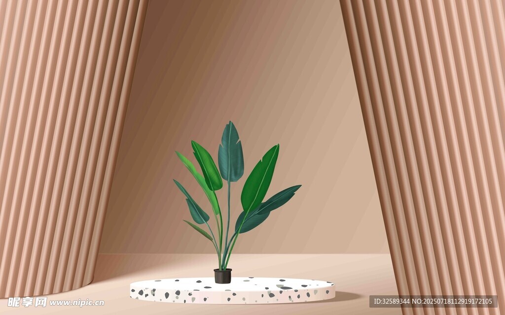 室内绿植简约自然小景