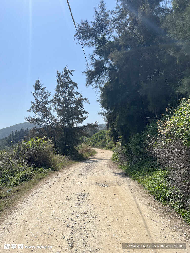 乡间土路 两旁绿树相伴
