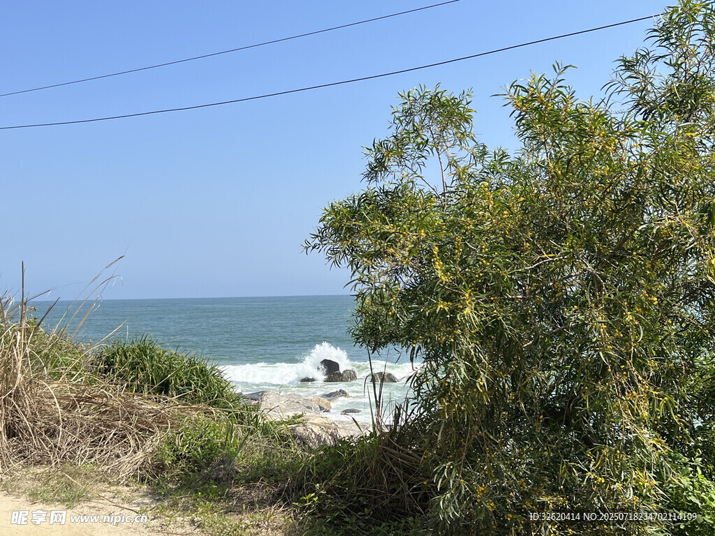 海边小路旁的绿植与海景