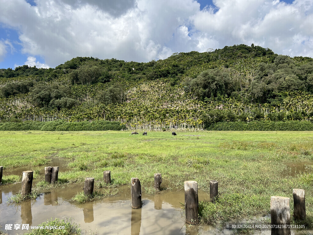 草原湿地木桩景观