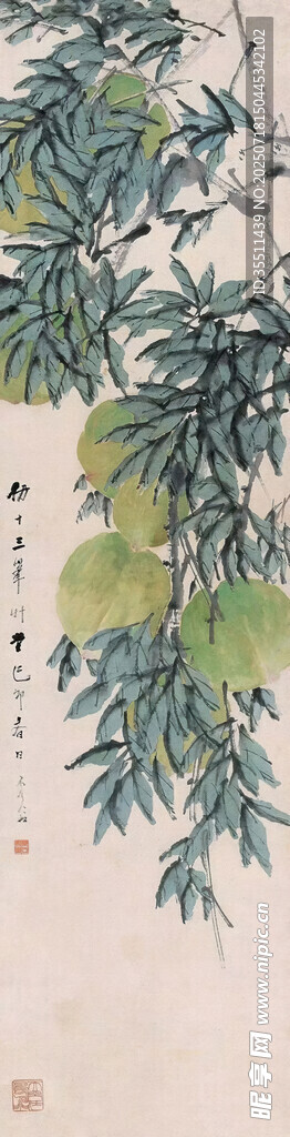枝叶繁茂的植物景象