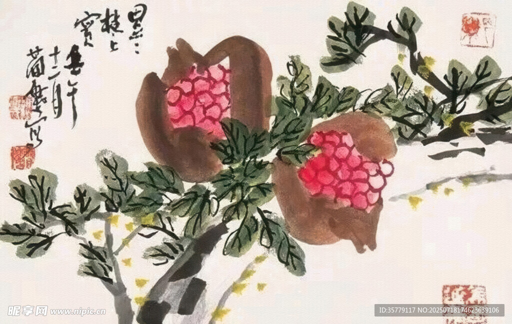 国画石榴