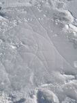 冬日雪地纹理特写