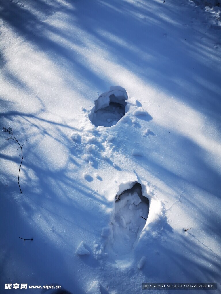 雪地上的枯叶与脚印