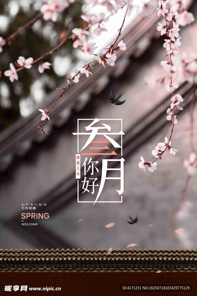 樱花下的古典屋檐景致