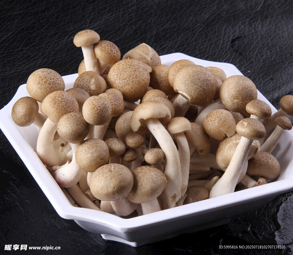 白碗中的新鲜蟹味菇