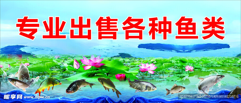 鱼类出售