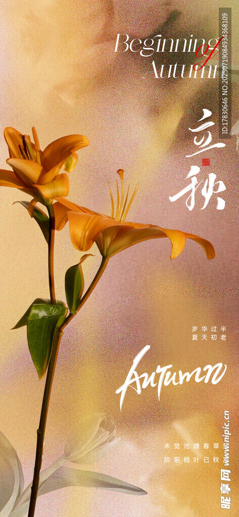 绽放的黄色花朵