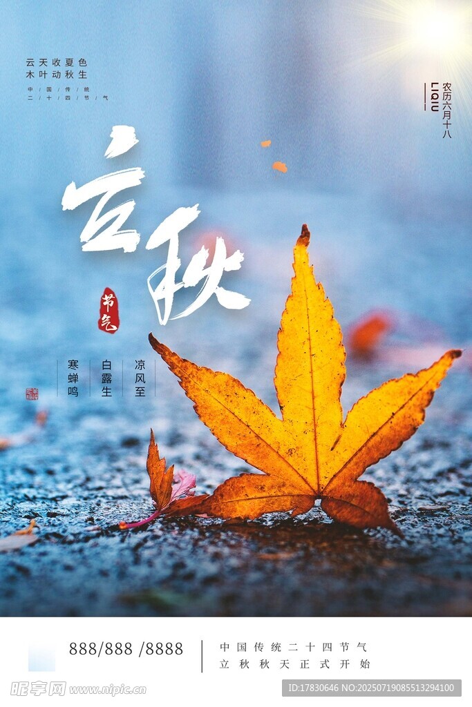 秋日枫叶美景