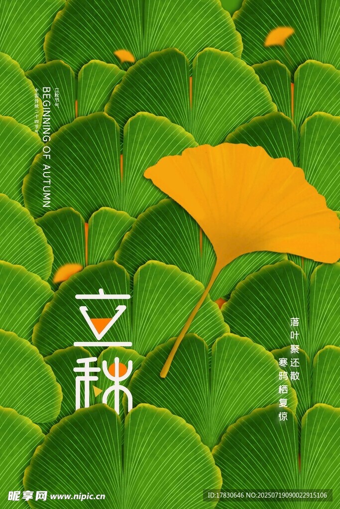 立秋时节银杏与绿叶景象