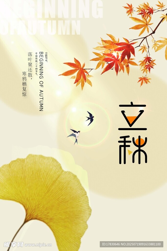 立秋时节银杏枫叶之美