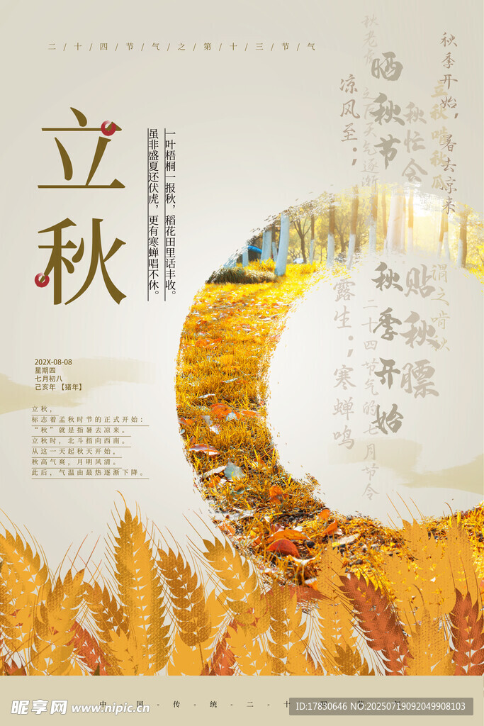 立秋时节金黄麦田美景